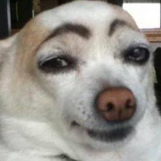 travelnerd3's profile picture. a traveler who knows how to travel