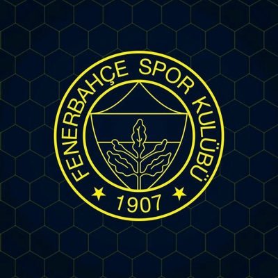 Fenerbahçe aşığı olmak yalnızca Fenerbahçe’li hesaplar takip edilir ve rt edilir. 💛💙💛