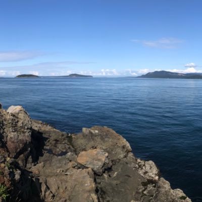 yingli31389562's profile picture. 