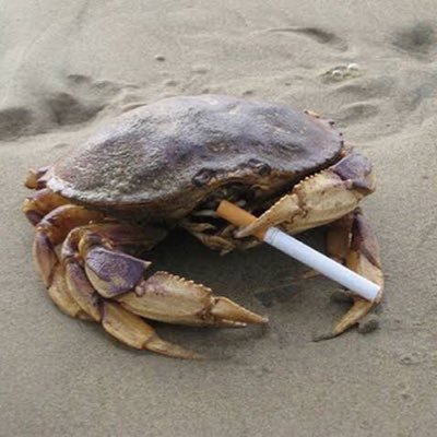 steptwo5's profile picture. to be one of the greats