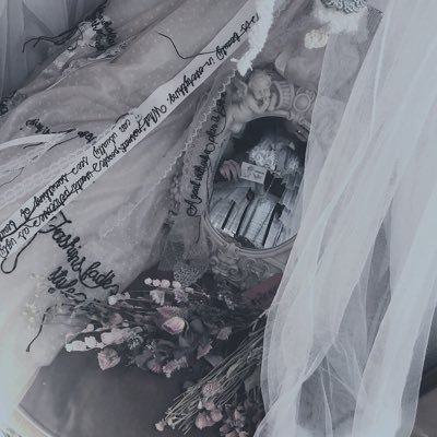 mmiho_n's profile picture. blue holic🦋