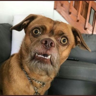 KiBushaOriginal's profile picture. ManU❤