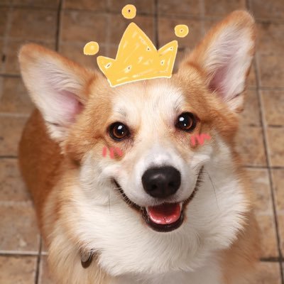 Watson_N_Sand's profile picture. 