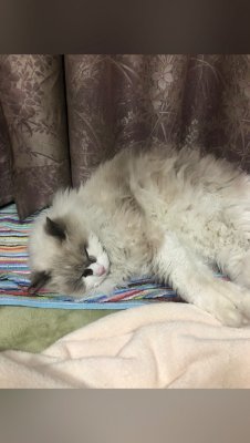 W1PAoDp8kfbBoto's profile picture. ただの一般FF14プレイヤー＆浅ぱちゃ格ゲーマー
ヒーラー動画上げていって皆さんの力になれば幸いマン