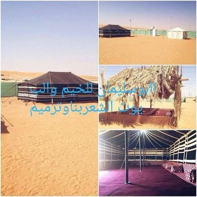 El0QNNN1cQmR6DN's profile picture. 