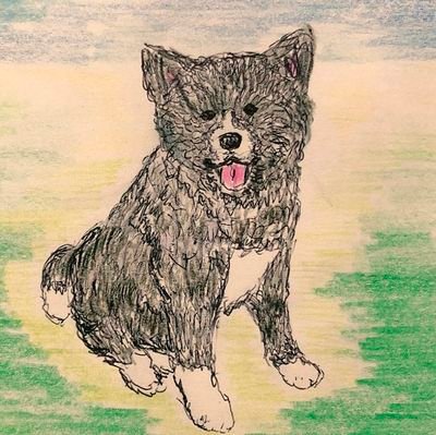 0103Ri's profile picture. 秋田犬🐕あきたいぬ🇯🇵犬山白帝城出身 （父犬 乱山🐕×母犬 静香🐕） 虎うめ(こうめ虎毛牝尾張姫號14.11.18生11歳) 木ノ花(このはな赤毛牝瞳號01.1.3～15.1.26🌈14歳23日) 男闘呼組&Rockon Social Club🎸＆THE ALFEE&CONVOY＆✈️