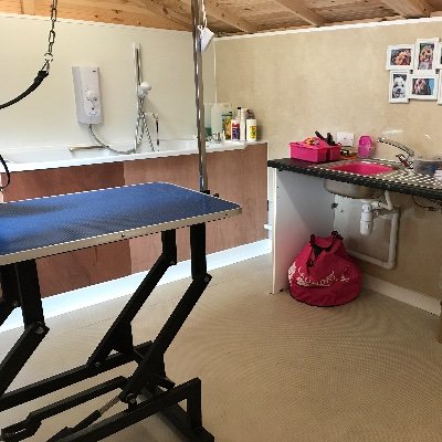 SprucedG's profile picture. One to one dog groomer in a home based salon with access to a garden area. I specialise in Grooming nervous dogs, cats and rabbits