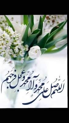 se65442719's profile picture. madar