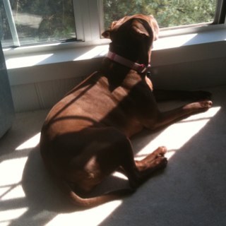 nickmartino's profile picture. 