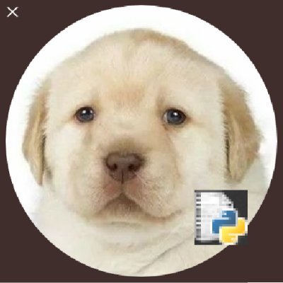 pginaprogramad1's profile picture. programação e/ou memes todo dia