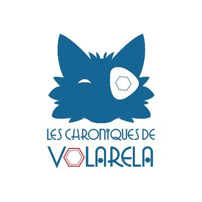 Studio de développement de jeux pédagogiques #Edtech dans l'univers de #Volarela. Entre #Jeuvidéo et #EscapeGame, jouable avec un #ExploKit !