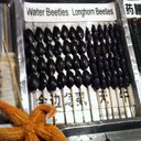 Edgar Tu - @straymonkey - Twitter