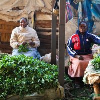 Mama Mboga Africa🥦 (@mamambogake) 's Twitter Profile Photo