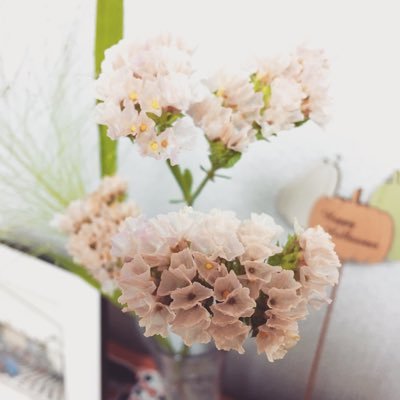 sanmitya's profile picture. 本の企画と編集。IT系経営研究所→美術系出版社→総合出版社。ホビー、自己啓、実用入門書など、いろんな本をつくります。プロフィールの花はスターチス。一片の記憶を残すために人生を満喫しよう。誰かに見つかる。違うものを見て、同じことをする私たちのこと。