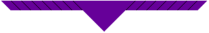 2nd Cork Scout Troo
