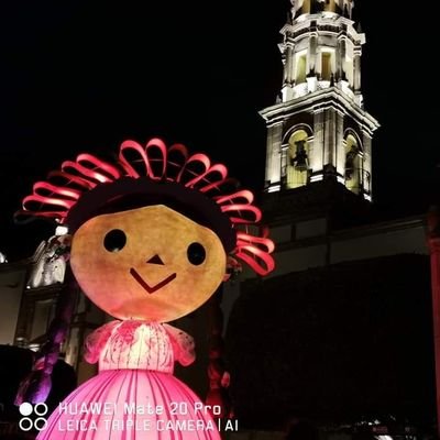 elegidas19's profile picture. En busca de la justicia y buscando bienestar para mi comunidad. Total desacuerdo con el gobierno de AMLO