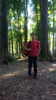 Terbang