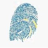 Ial Anapia Net Veneto (@ial_net) 's Twitter Profile