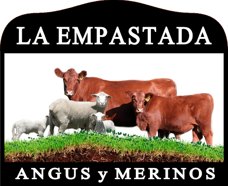 Cabaña La Empastada. Red Angus y Merinos.