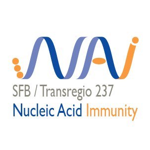 The DFG-funded Collaborative Research Center (CRC) Transregio 237 investigates the mechanisms and functions of Nucleic Acid Immunity.