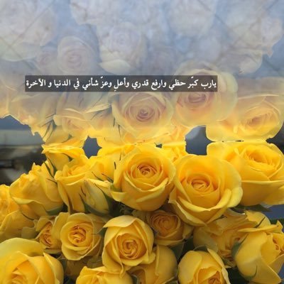 na___87___'s profile picture. 