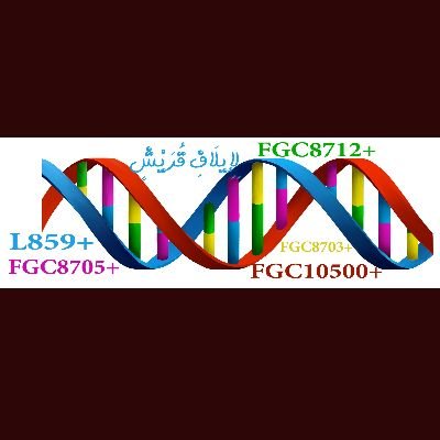 حساب داعم لمشروع قريش وبني هاشم الجيني Support Account of Qurayish and Banuhashim Ancestry DNA Project FGC8712 and its downstream