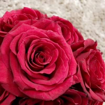 ShahraniNoha's profile picture. سبحان الله وبحمده .. 🌸 سبحان الله العظيم .. 🌸