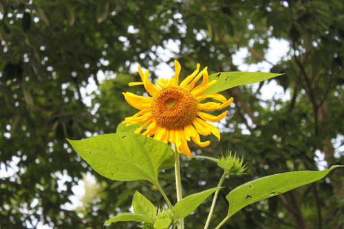 Terafather's profile picture. 컴퓨터 관련, 주식 및 금융 관련, 종교, 영화, 시사 문제 등등