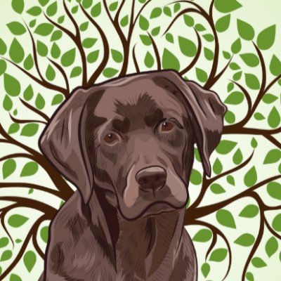 chestnut_tree1's profile picture. Locally owned landscaping company. We provide all kind of landscape design/build services and specialize in tree work and land clearing.