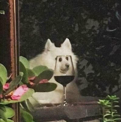 포로롱さんのプロフィール画像