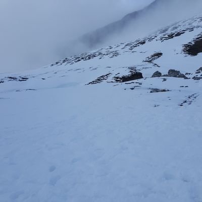 nachoribas's profile picture. 