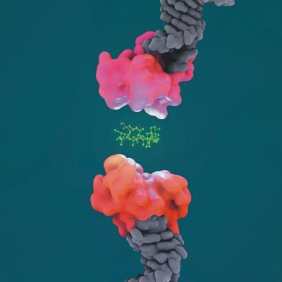 Galibot_Bio's profile picture. Mining for kinetic gems