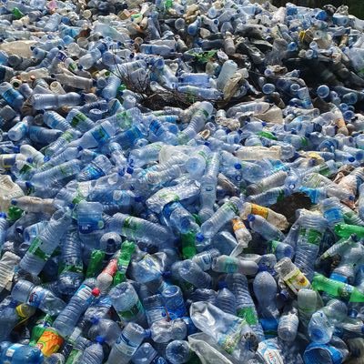 DKebebe's profile picture. Dr Kebebe Bekele
General surgeon at MWU-Goba Referral Hospital, Ethiopia,Oromia regional state, Bale Zone,Goba town