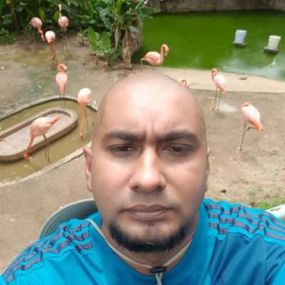 trinimedic's profile picture. 