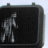 WalkingSeattle's profile image