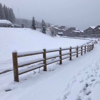 BosonLouane's profile picture. Louane