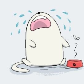 沢田渚さんのプロフィール画像