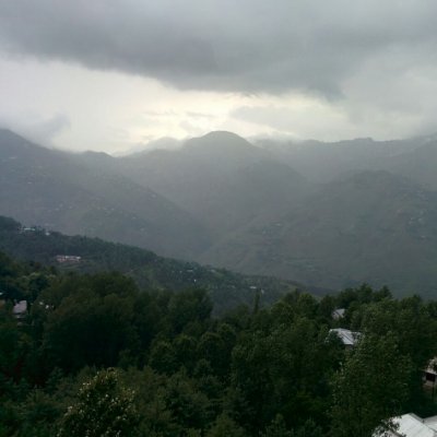 sheikh_abrar's profile picture. 