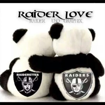 ☠️☠️☠️ Fan of the SLV/BLK since conception 61 Only 1 Nation #RaiderNation