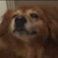 1BrainZell (@brainzell) 's Twitter Profile