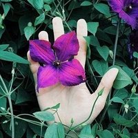 أحمد (@nazhahal) 's Twitter Profile Photo