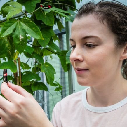 Assistant professor Indiana University Bloomington. Adaptation, speciation, behavior, evolution and biosynthesis of insect pheromones. https://t.co/2wbICYU6te