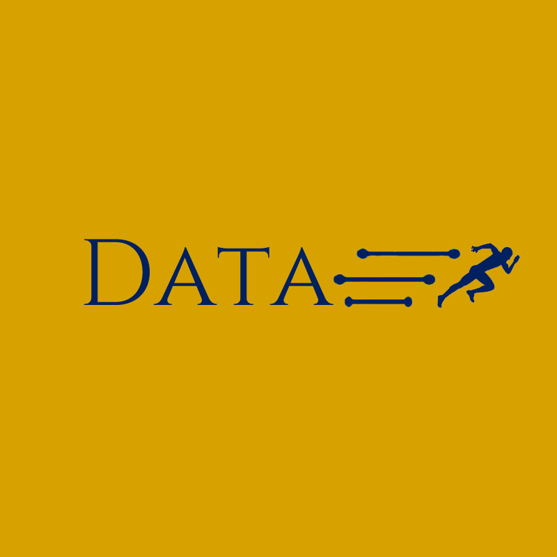 data_sprint's profile picture. Data visualization specialist.