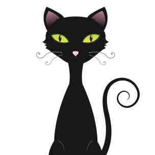 TheCatsWhiske14's profile picture. Writer, feminist and campaigner for social justice.