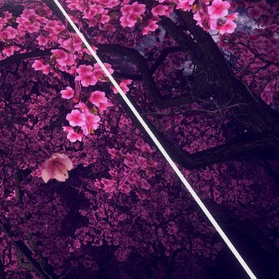 hyper_iti's profile picture. 用事がある時は壱の方へ。
鈴華の方はたまーにしか見ないです。