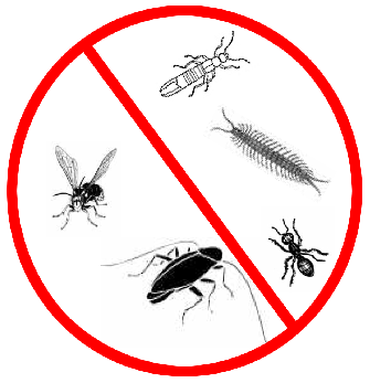 Pest Control Elk Grove, Freedle Pest Control, Elk Grove, CA. Serving families and retirees at reasonable rates. Thanks for your recommendations!
