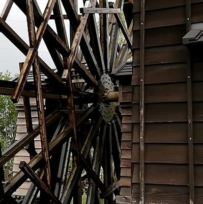 SPiCa_4649's profile picture. 