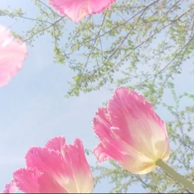 orichan325's profile picture. 📸撮ってます お花🌷 景色🌊 好きなもの🍡 自由にのんびりと😌
📣不規則なので反応が遅いことがあります🙇  
ゆったり穏やかなお付き合いを よろしくお願いします🥰