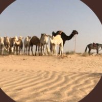 abo-nwaf (@bdr_sh3ol) Twitter profile photo