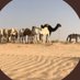 abo-nwaf (@bdr_sh3ol) Twitter profile photo abo-nwaf (@bdr_sh3ol) Twitter profile photo